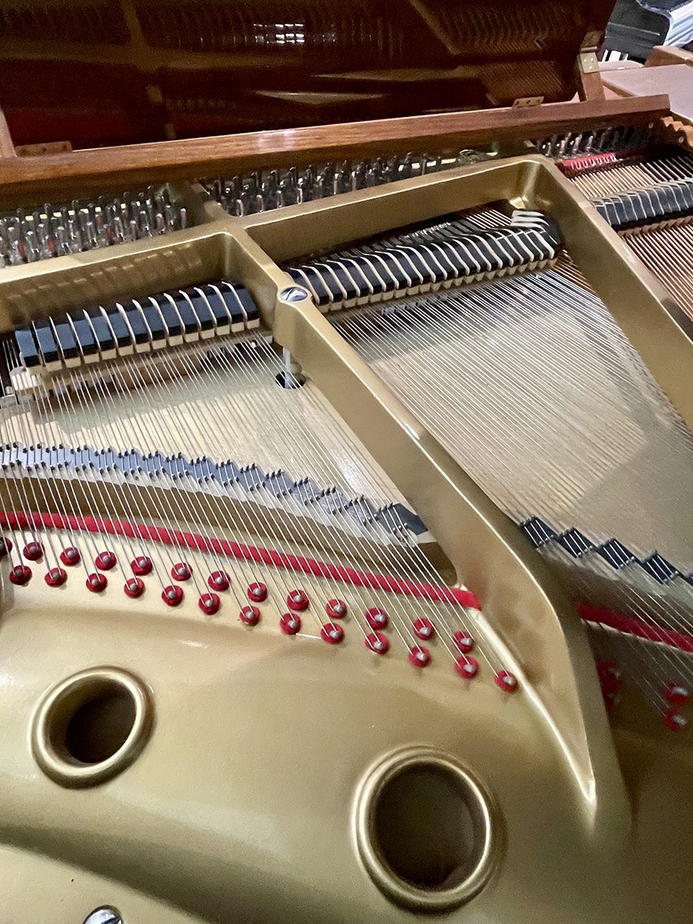 Baby grand piano - Reid Sohn - Image 9