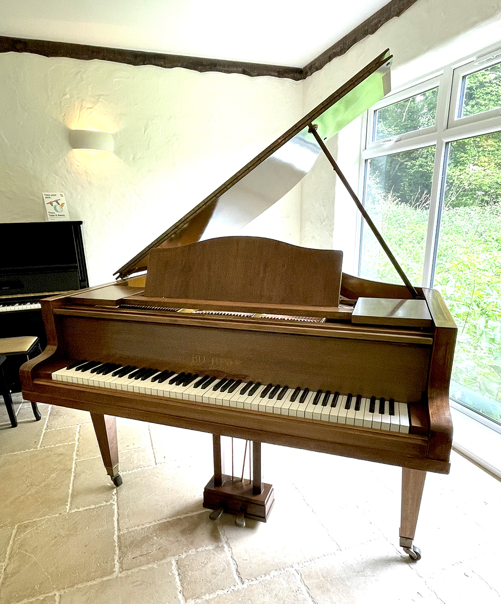 Bluthner baby grand model XI