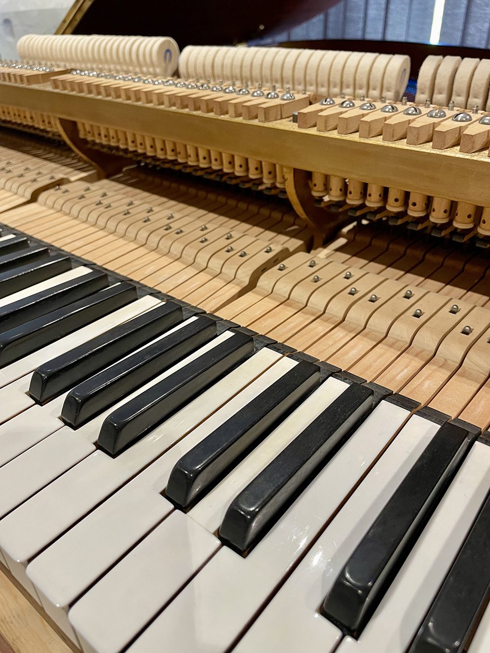 Restored Bluthner Model 4A Baby Grand - Image 19